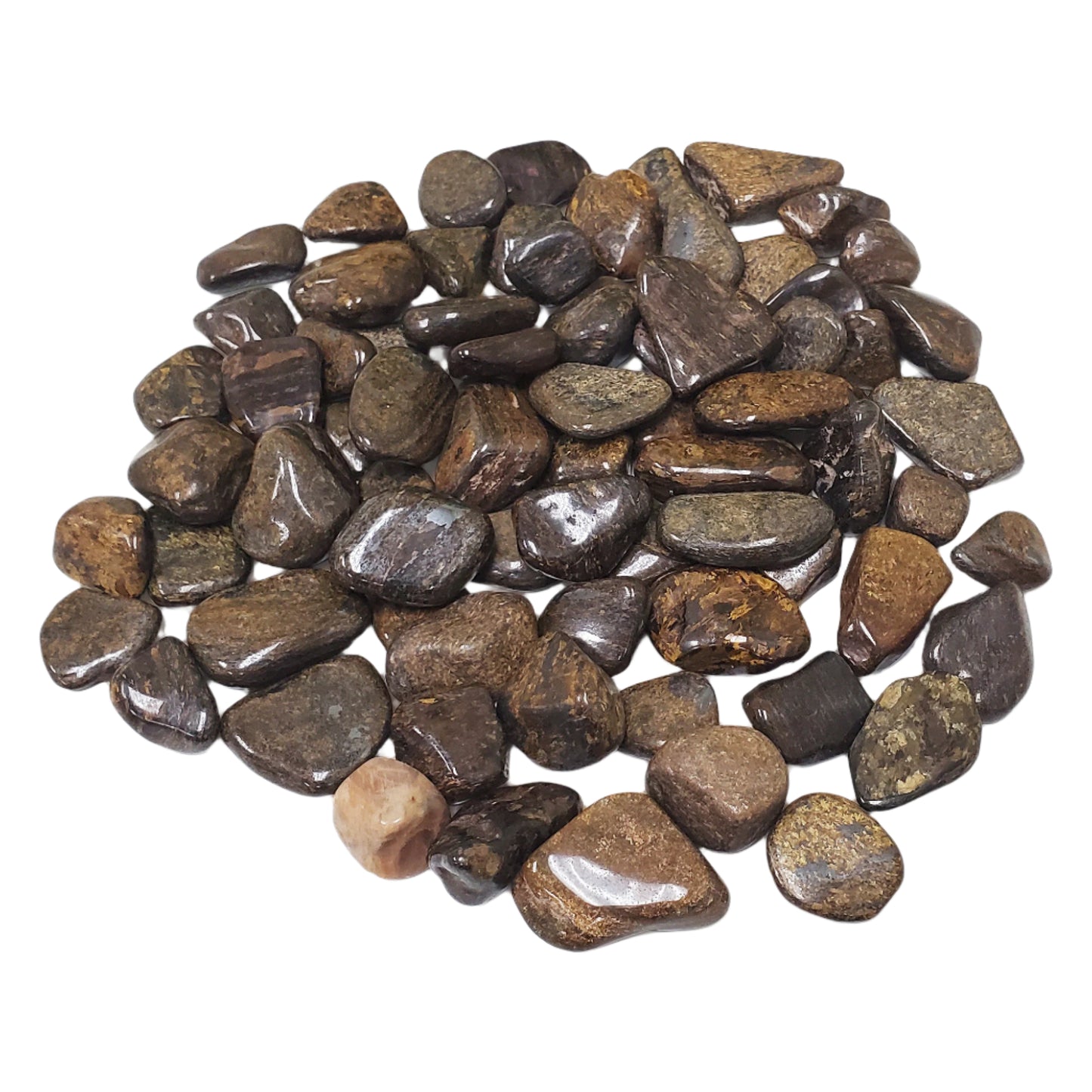 Axinite Tumbled Stone - Gem Avenue