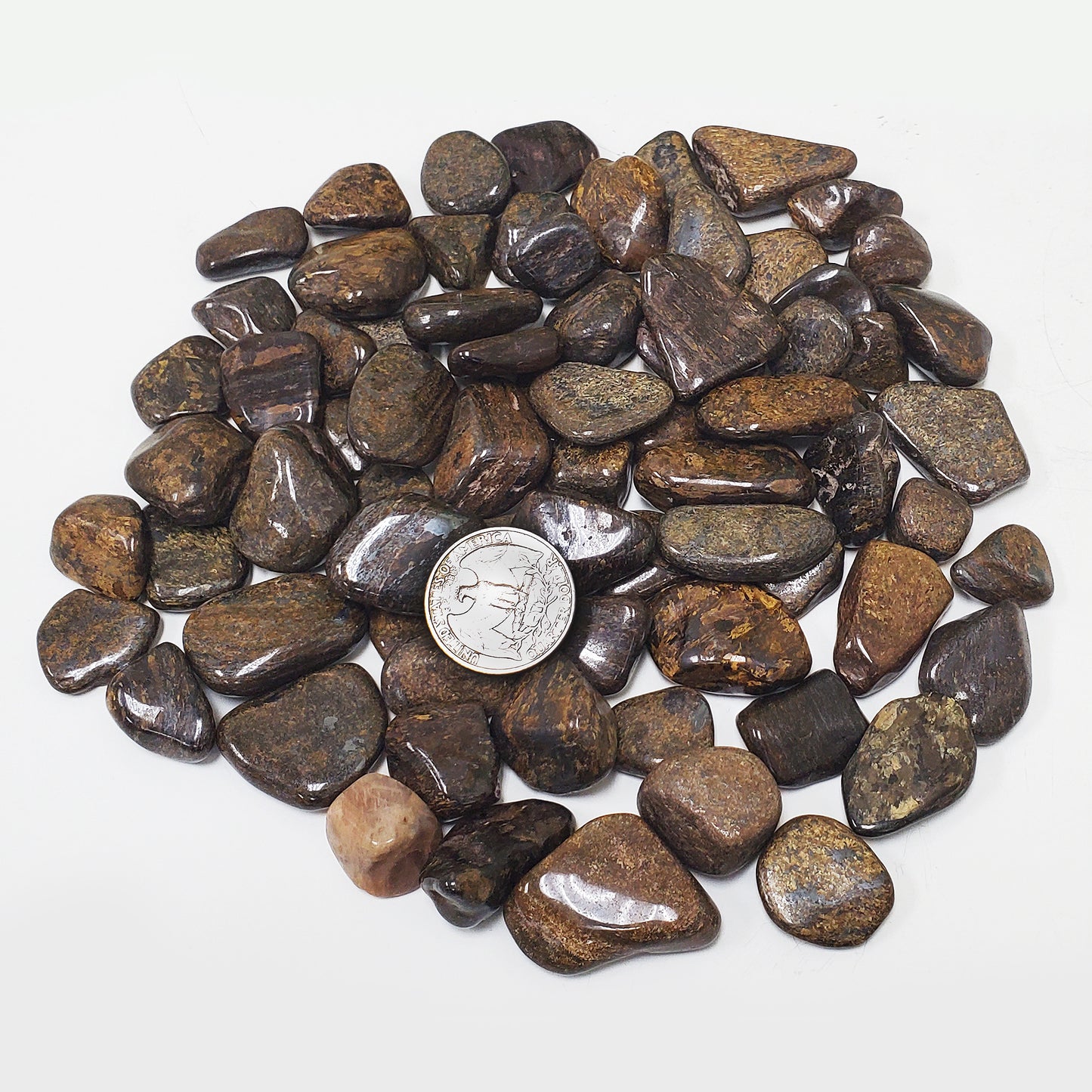 Axinite Tumbled Stone - Gem Avenue