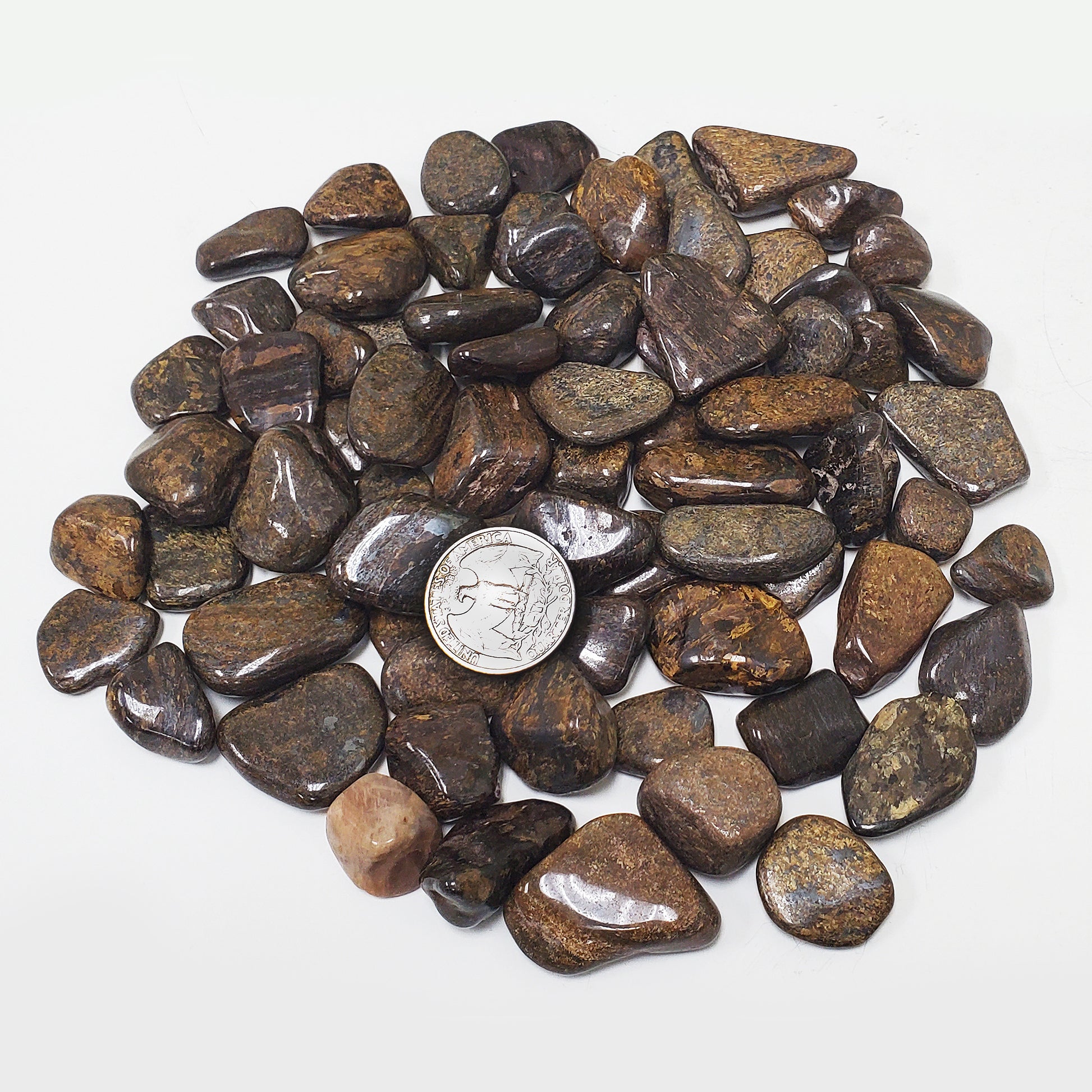 Axinite Tumbled Stone - Gem Avenue