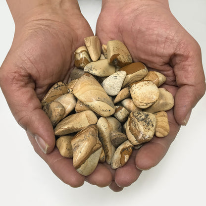Picture Jasper Tumbled Stone - Gem Avenue