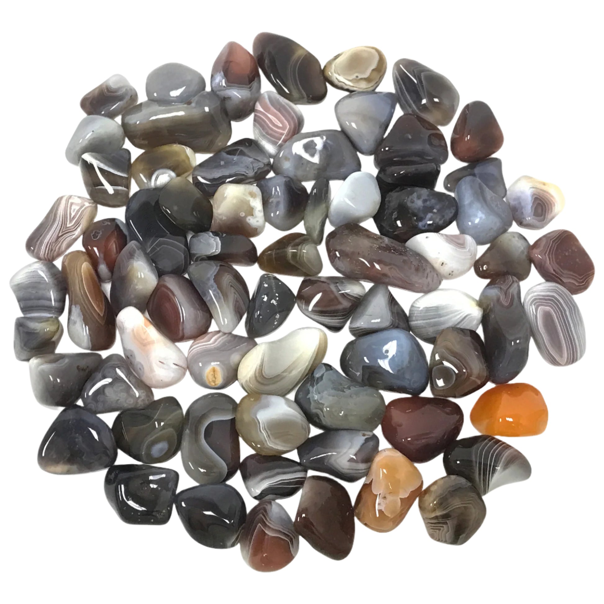 Botswana Agate Tumbled Stone Gemstones Crystal - Gem Avenue