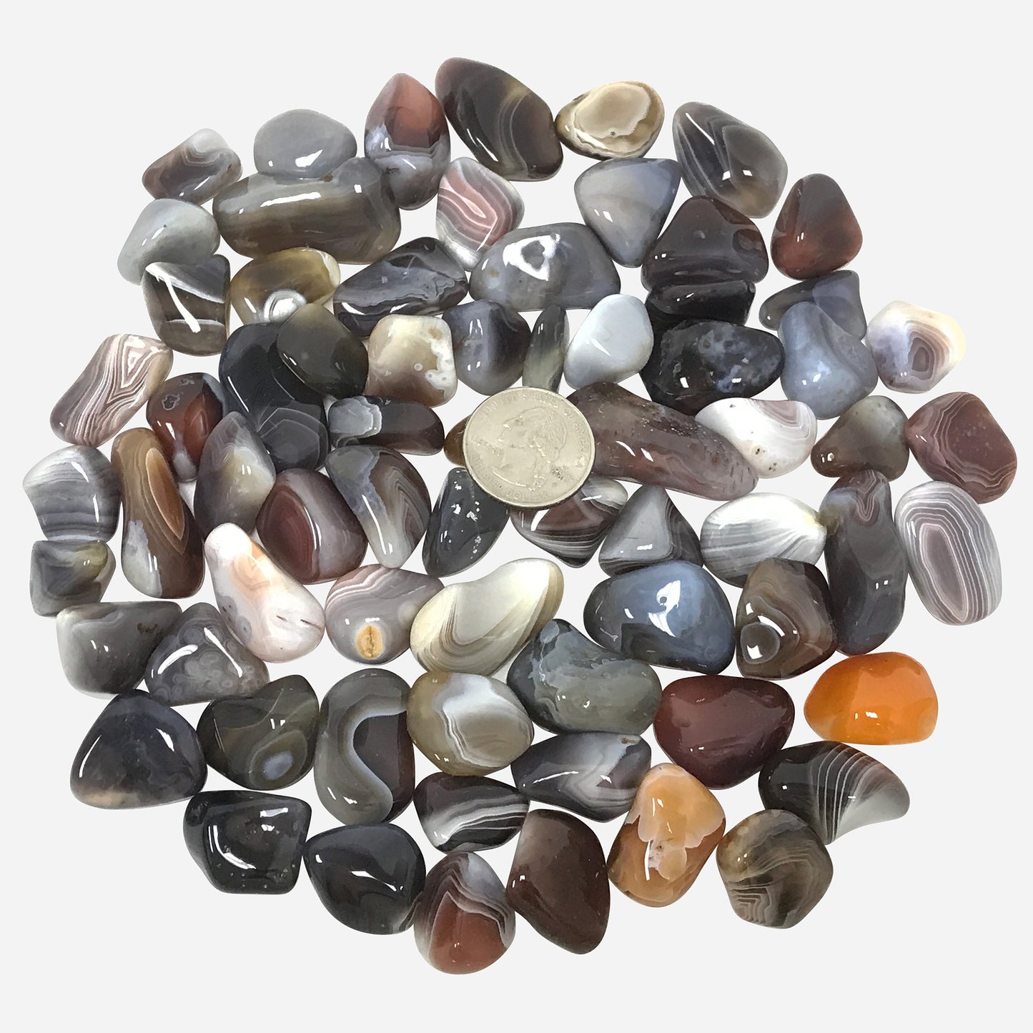 Botswana Agate Tumbled Stone Gemstones Crystal - Gem Avenue