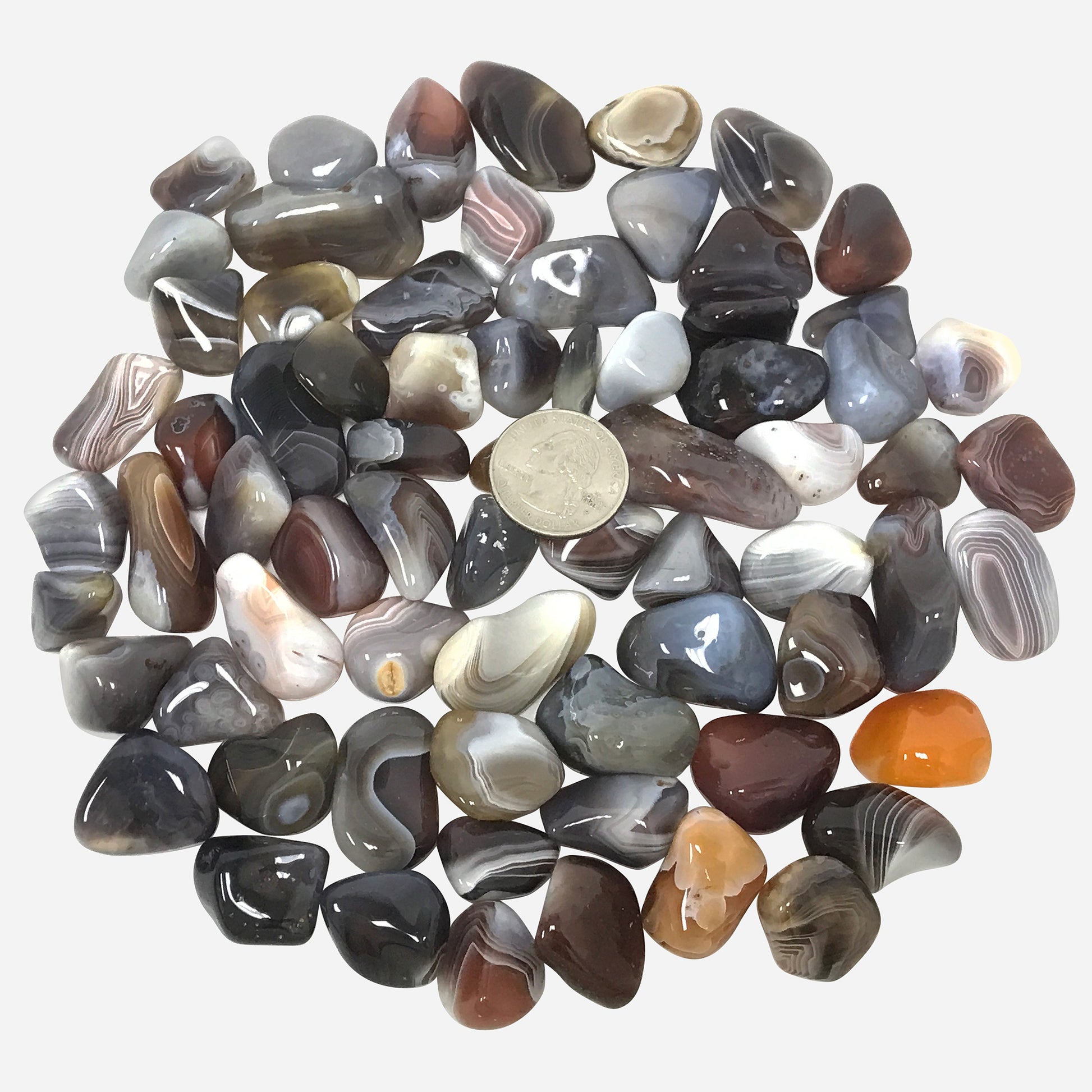 Botswana Agate Tumbled Stone Gemstones Crystal - Gem Avenue