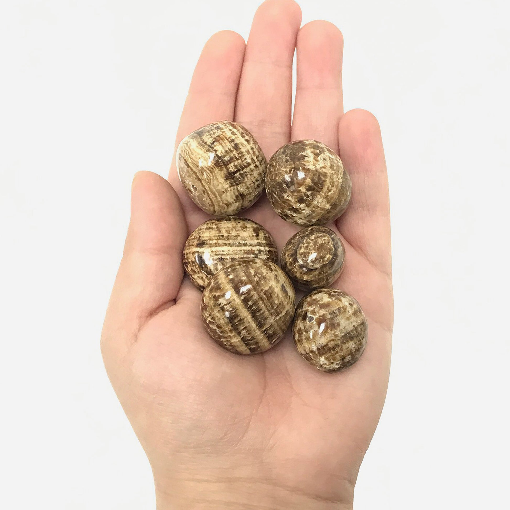 Aragonite Tumbled Stone - Gem Avenue