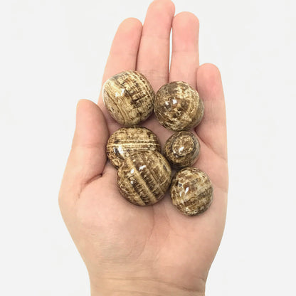 Aragonite Tumbled Stone - Gem Avenue
