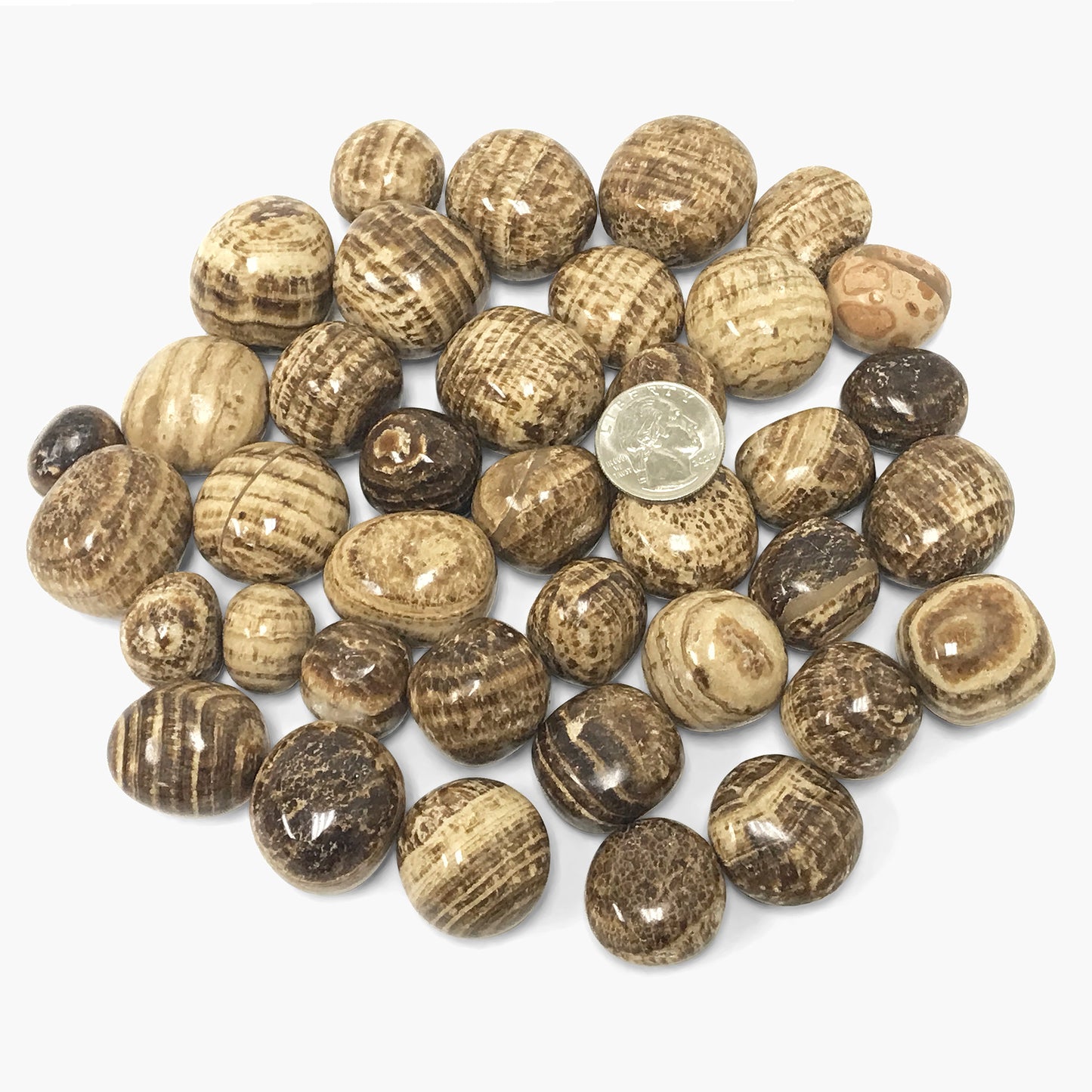 Aragonite Tumbled Stone - Gem Avenue