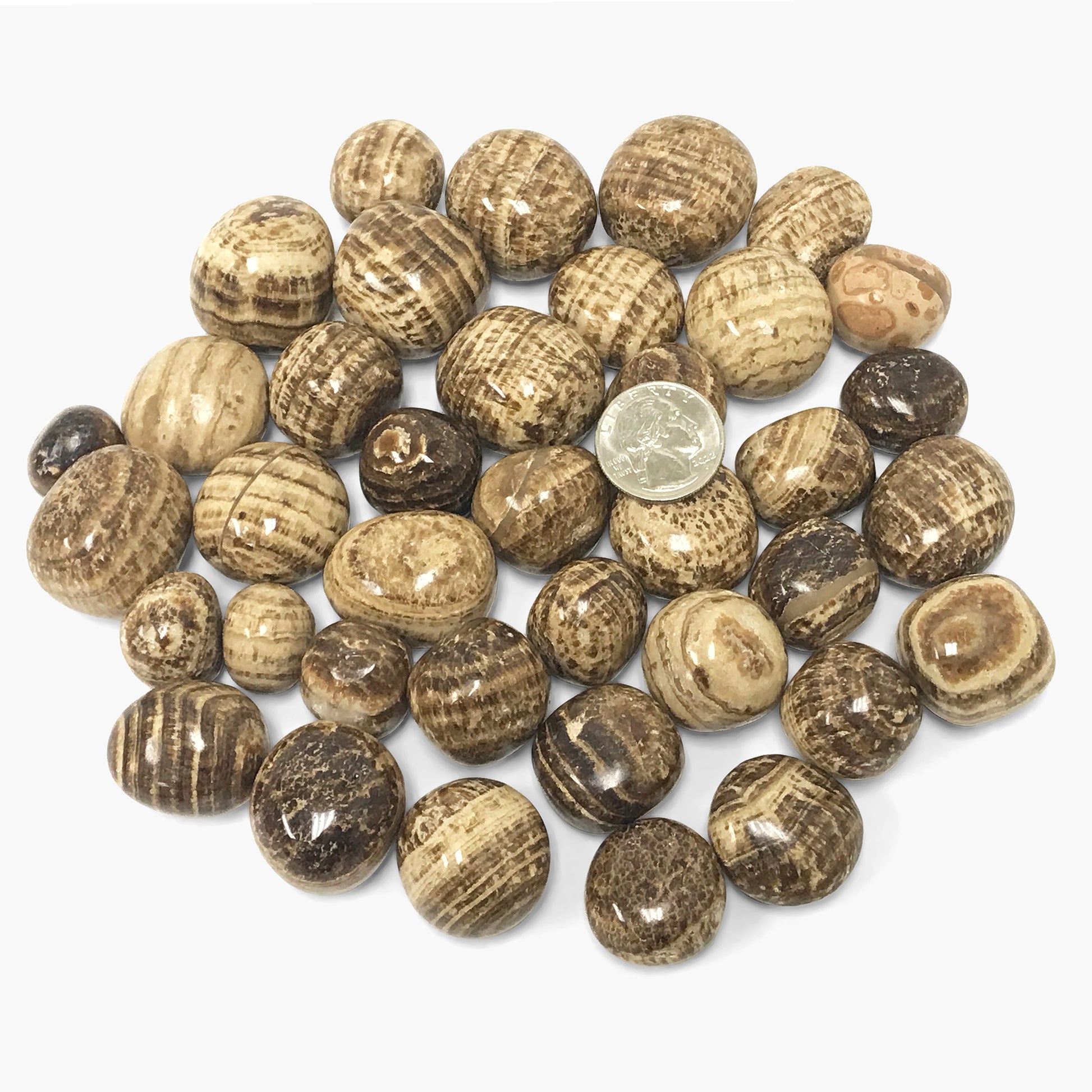 Aragonite Tumbled Stone - Gem Avenue