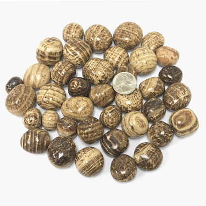 Aragonite Tumbled Stone - Gem Avenue
