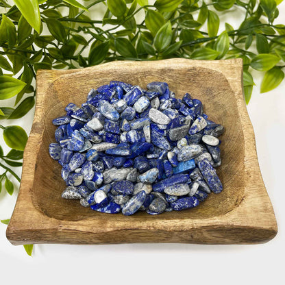Lapis Lazuli Tumbled Chips - Gem Avenue