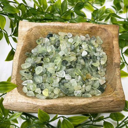 Prehnite Tumbled Chips - Gem Avenue
