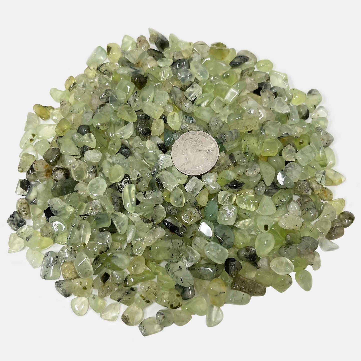 Prehnite Tumbled Chips - Gem Avenue