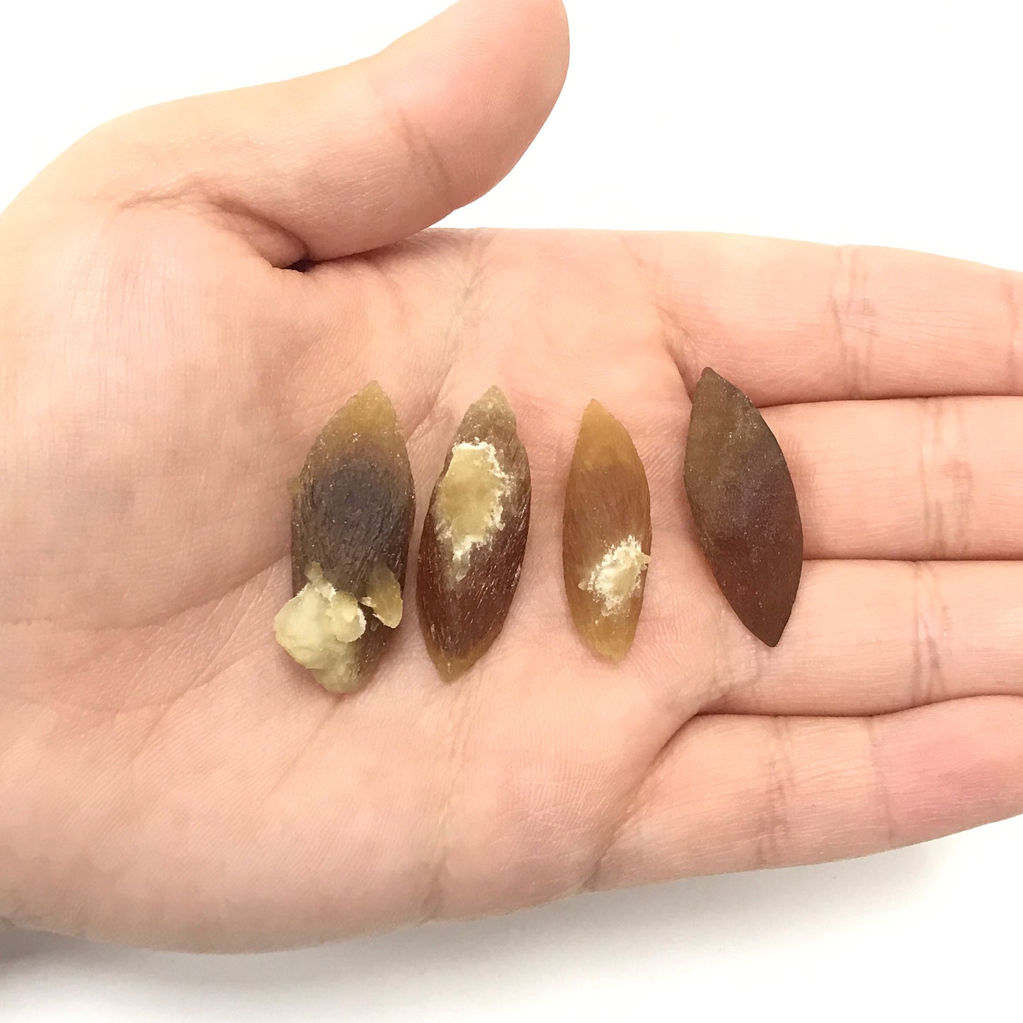 Natural Calcite Crystal Gemstone - Gem Avenue