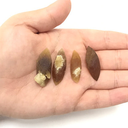 Natural Calcite Crystal Gemstone - Gem Avenue