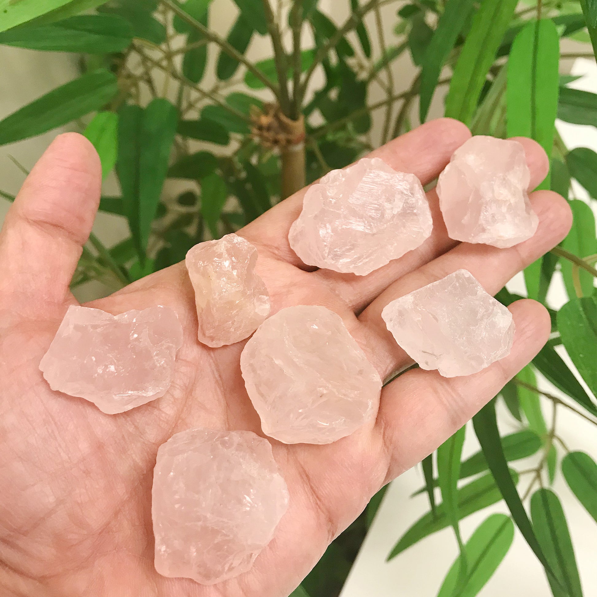 Natural Rough Raw Rose Quartz Crystal Gemstone - Gem Avenue