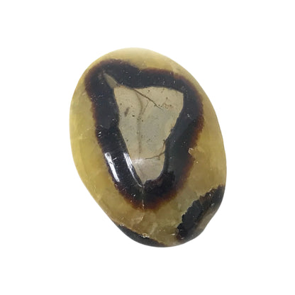 Natural Septarian Round Palm Stone Crystal Gemstone Collectible 4.2 Oz-Gem Avenue