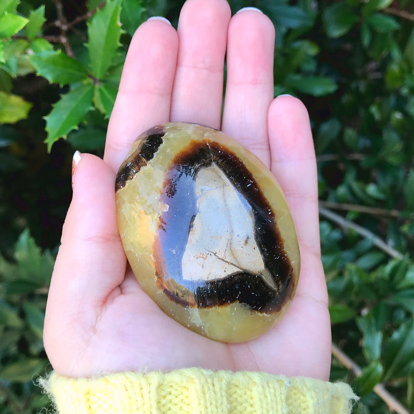 Natural Septarian Round Palm Stone Crystal Gemstone Collectible 4.2 Oz-Gem Avenue
