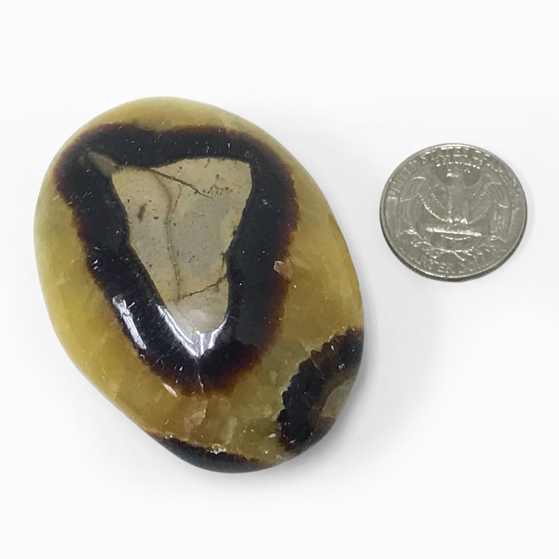 Natural Septarian Round Palm Stone Crystal Gemstone Collectible 4.2 Oz-Gem Avenue