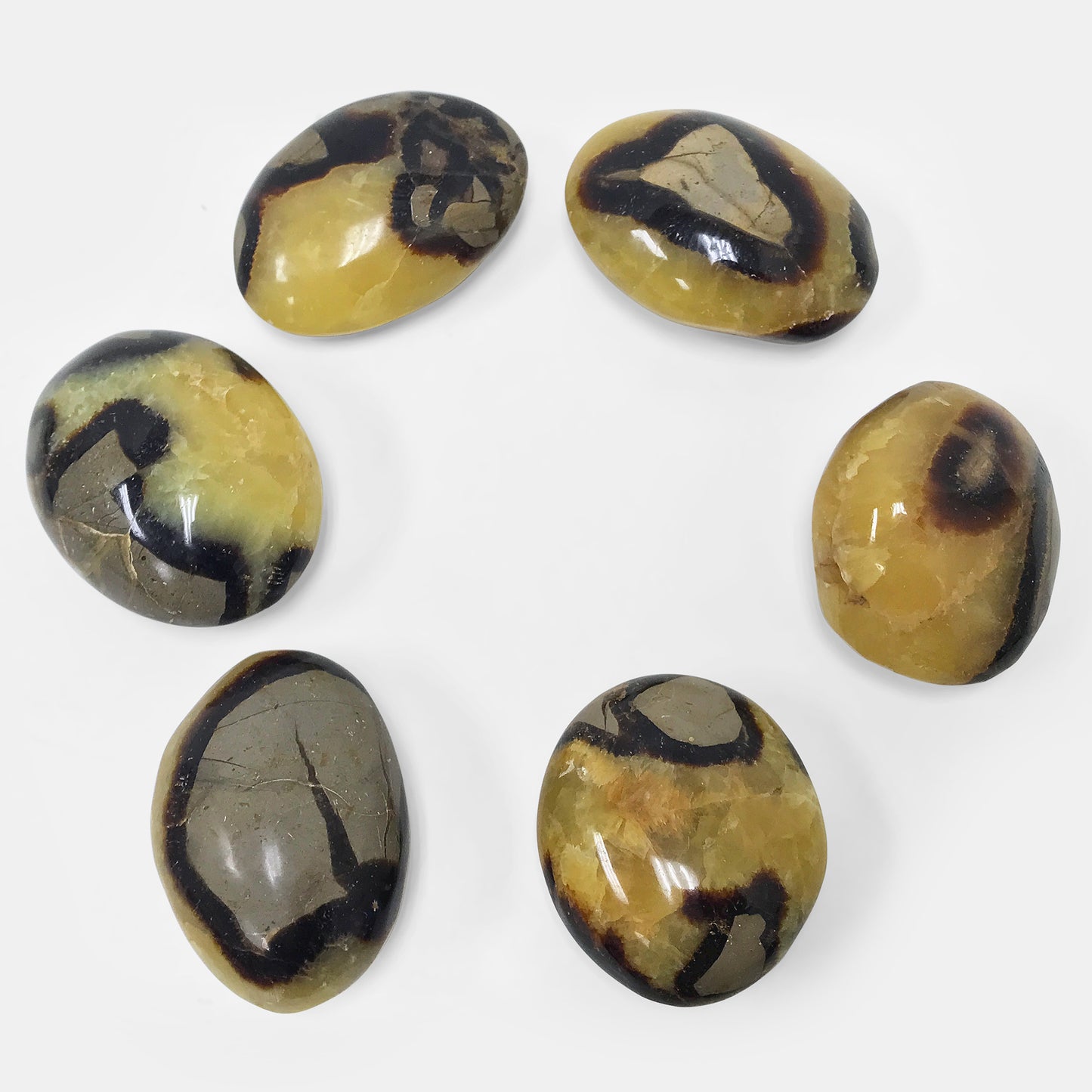 Natural Septarian Round Palm Stone Crystal Gemstone Collectible 4.2 Oz-Gem Avenue